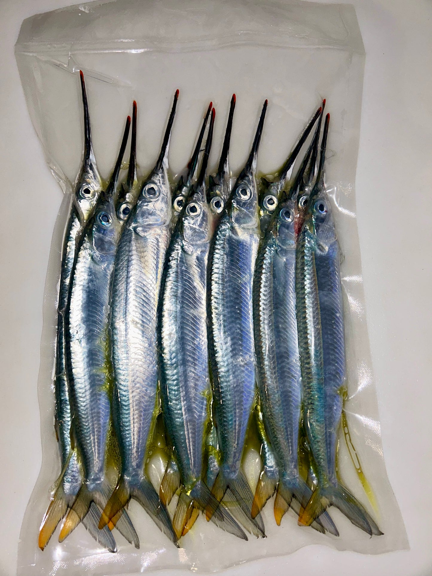 Case of Medium Ballyhoo