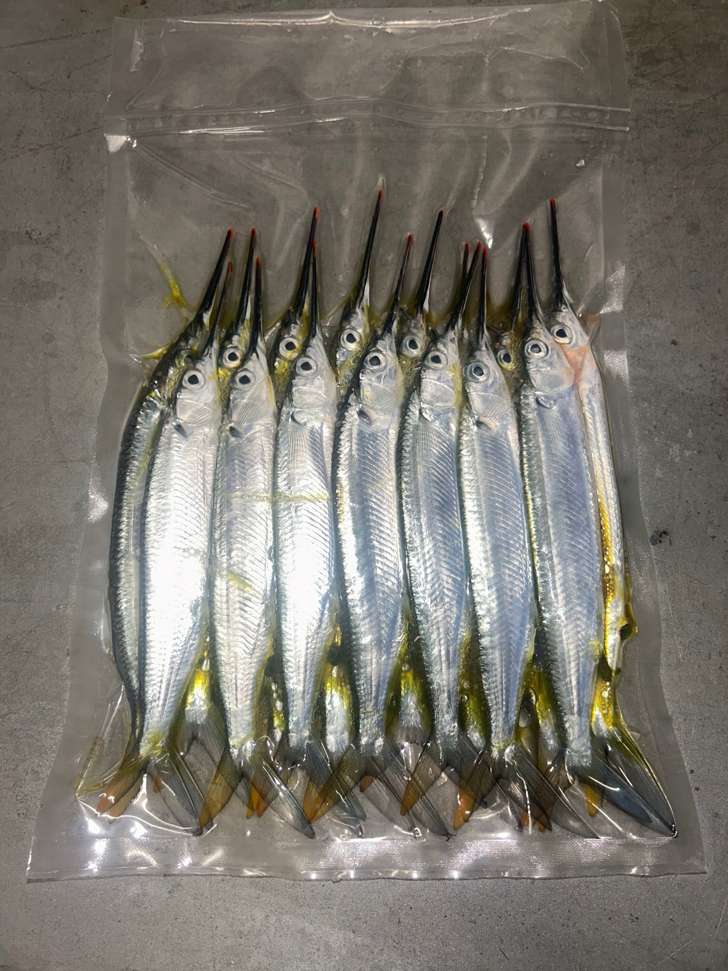 Case of Small Ballyhoo