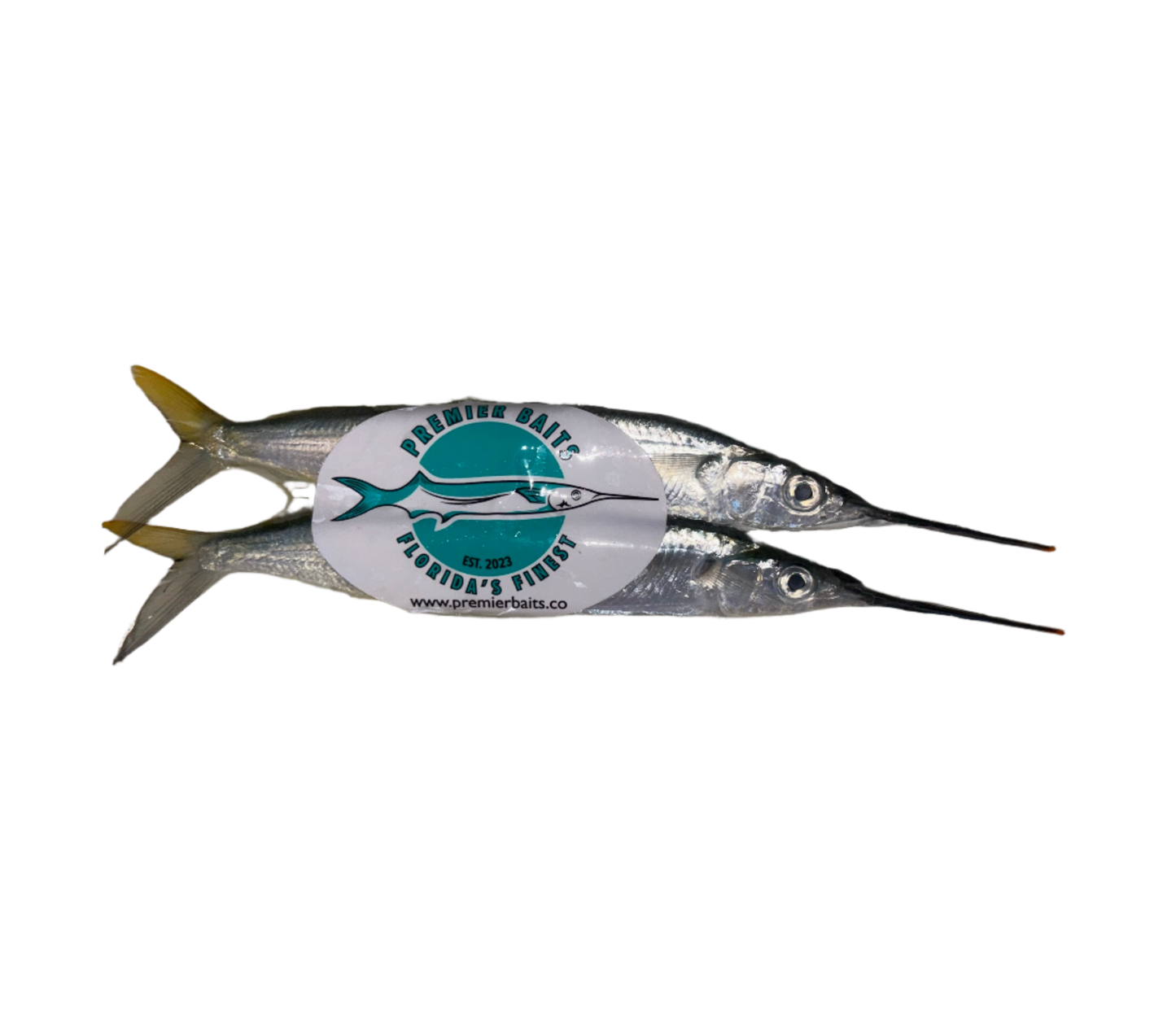 Case of Horse Ballyhoo